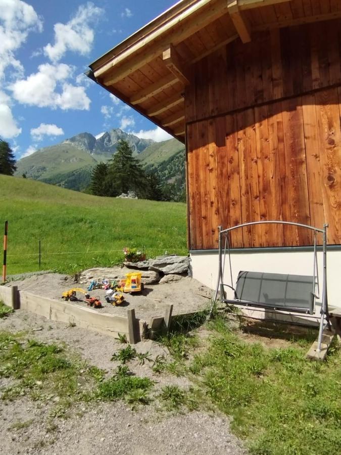 Mooslechnerhof Farm stay Virgen