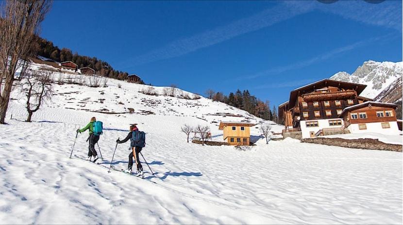 Farm stay Mooslechnerhof *