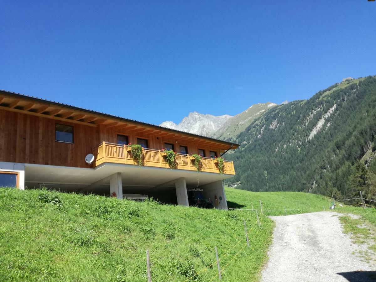 Mooslechnerhof Farm stay