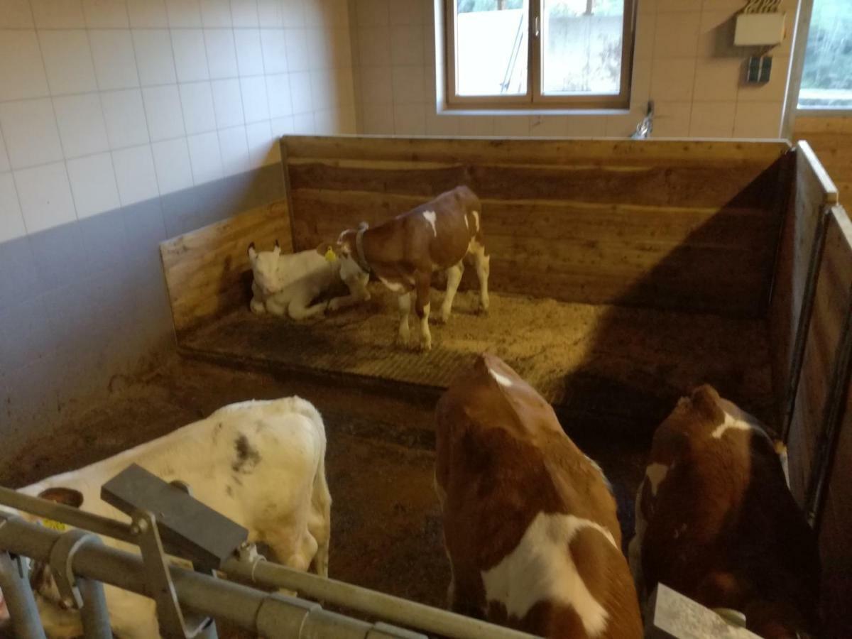 Farm stay Mooslechnerhof
