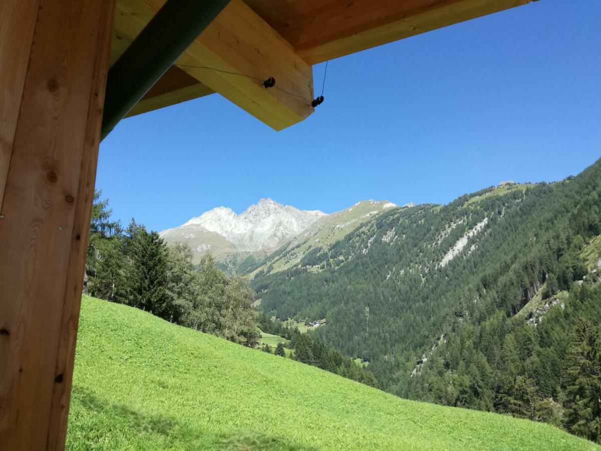 Mooslechnerhof Farm stay